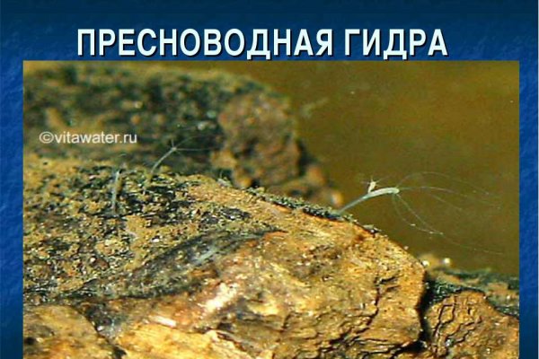 При входе на кракен пишет вы забанены